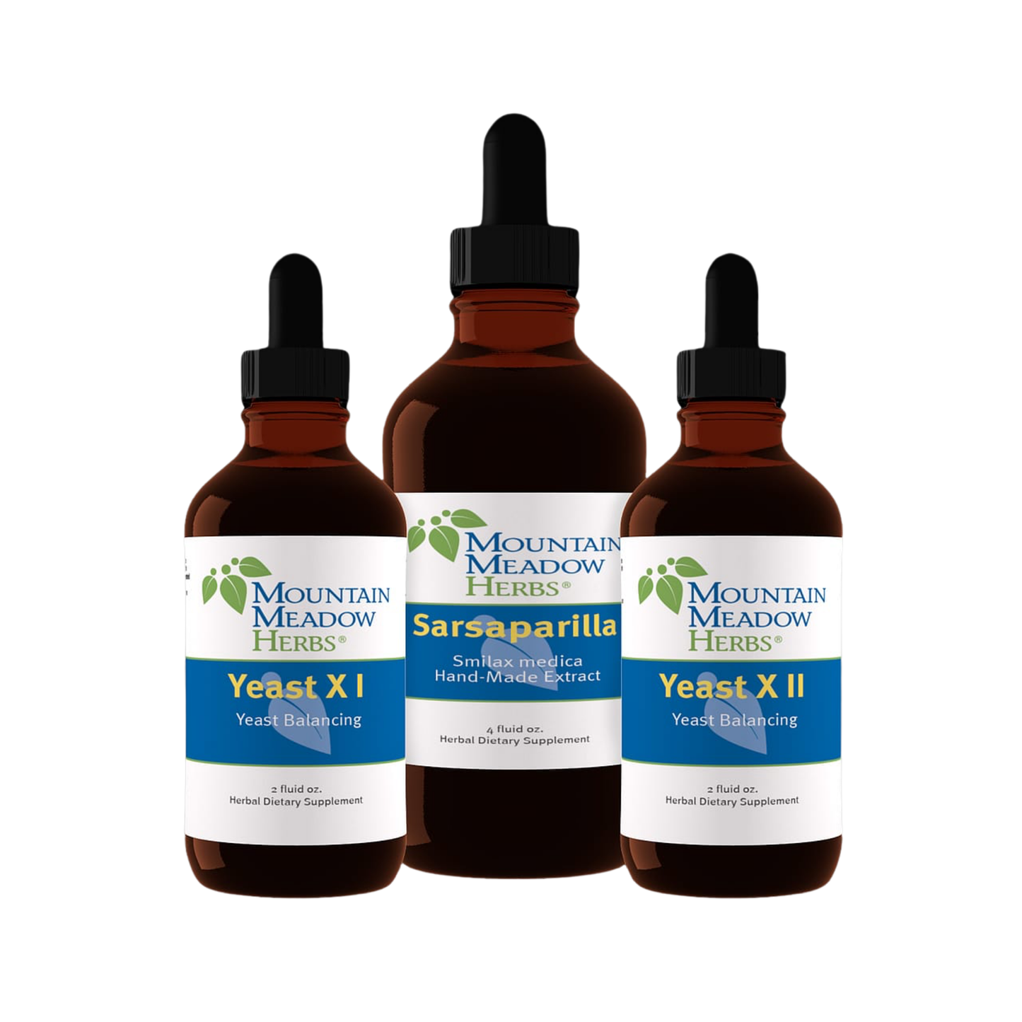 Tintura Yest x Package (Yeast X I & II, Sarsaparilla) – Terapia Clark