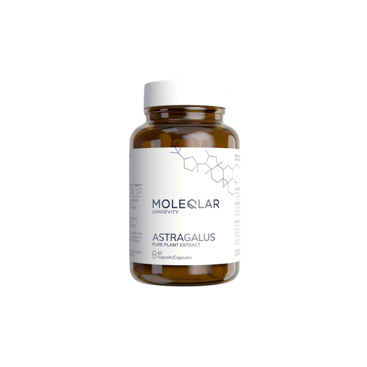 Astragalus – 60 cápsulas – Moleqlar