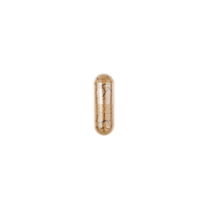 Astragalus – 60 cápsulas – Moleqlar