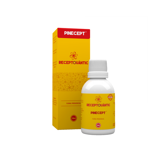 PINECEPT® – 50ml – Fisioquântic