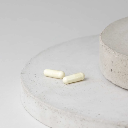 Resveratrol – 60 cápsulas – Moleqlar